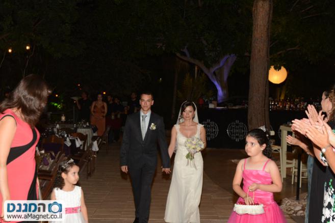 תמונה גדולה